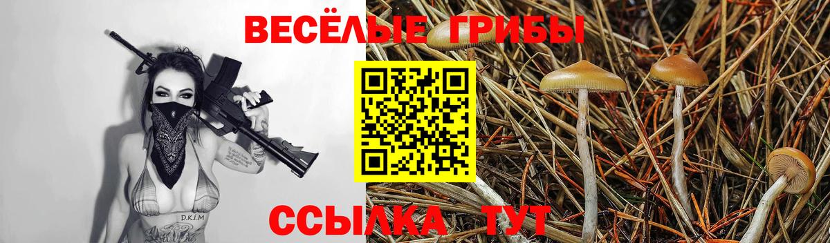 Псилоцибиновые грибы GOLDEN TEACHER Чусовой